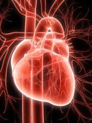 système cardiovasculaire et hypertension
